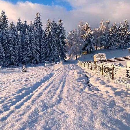 Katharina Mastershausen