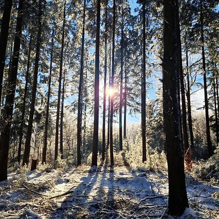 Katharina Apartment Mastershausen